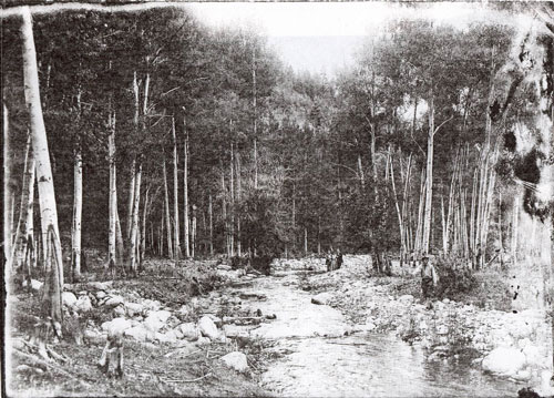 Old black and white photo of upper watershed