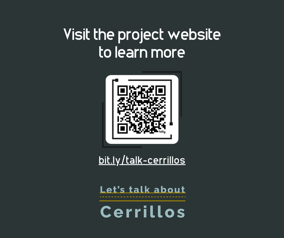 Project website graphic