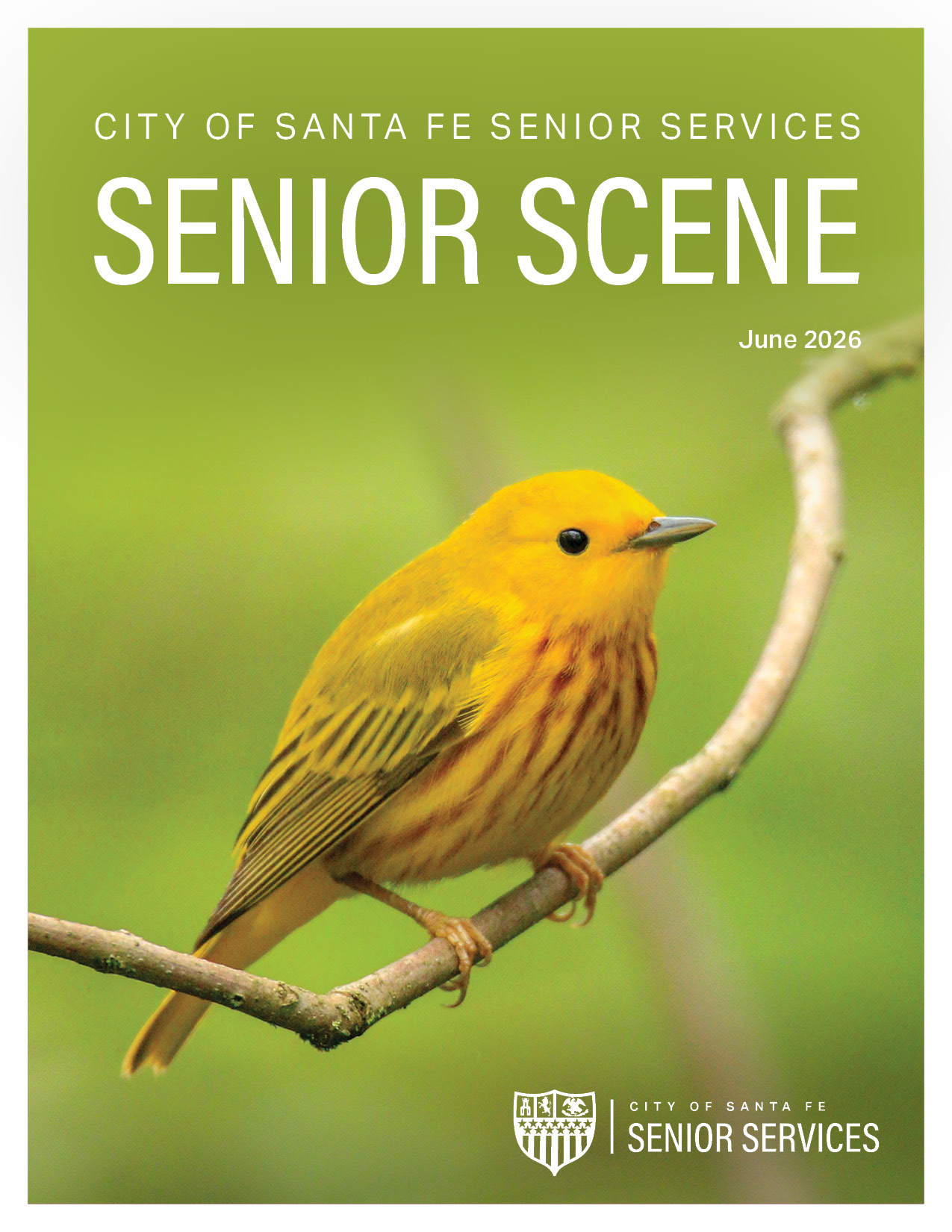 Senior Scene May 2026